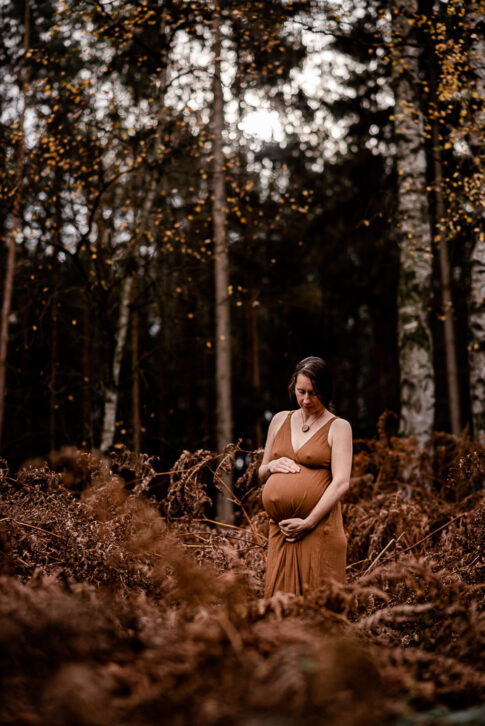 Schwangere Frau steht bei Babybauchshooting vor Birkenbäumen im braunen Farn im Herbst.