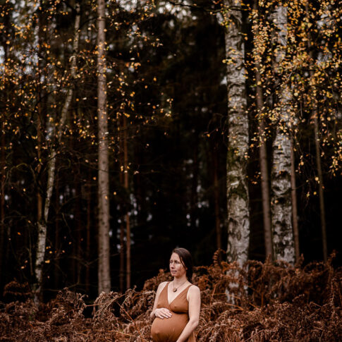 schwangere Frau vor Birkenwald im Herbst bei Babybauchshootin auf dem Niemannshof in Kragen.